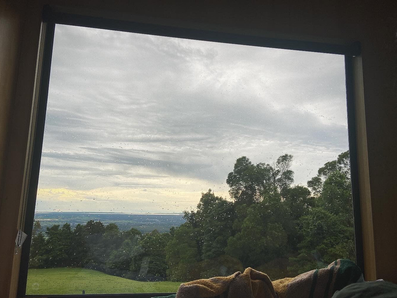 View from a window with greenery and cloudy sky