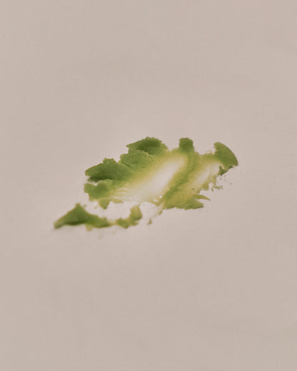 Close-up of Nhuka Oak Moss Multi Balm texture. Soft, lightweight balm formulated with organic mango butter, rosehip oil, and passionfruit oil for nourishing dry skin.